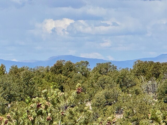 2615 Summit Ct, Santa Fe, NM 87501 - photo 24
