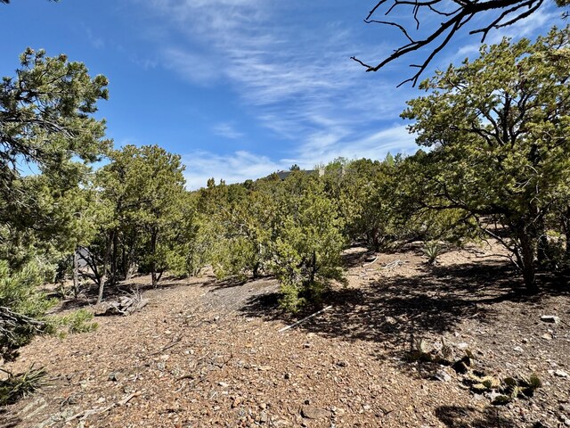 2615 Summit Ct, Santa Fe, NM 87501 - photo 21