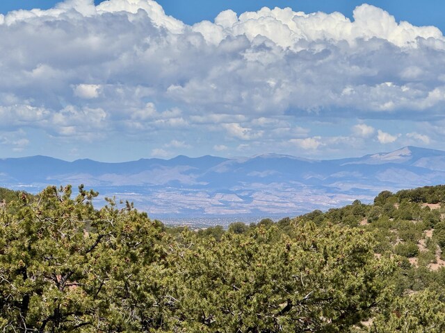 2615 Summit Ct, Santa Fe, NM 87501 - photo 19