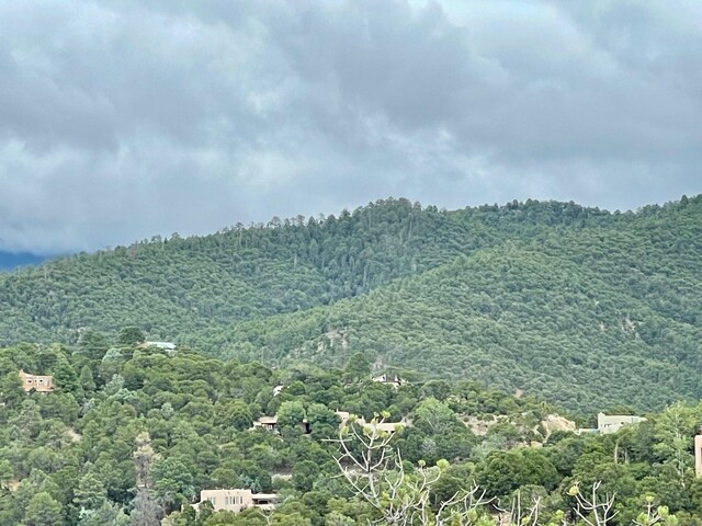 2615 Summit Ct, Santa Fe, NM 87501 - photo 67
