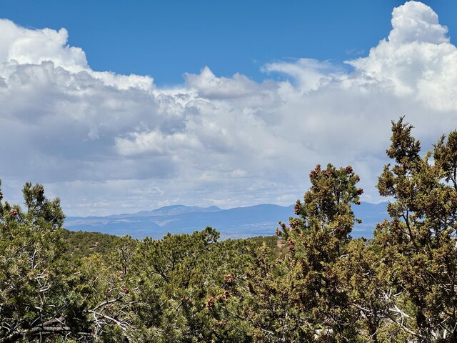 2615 Summit Ct, Santa Fe, NM 87501 - photo 58