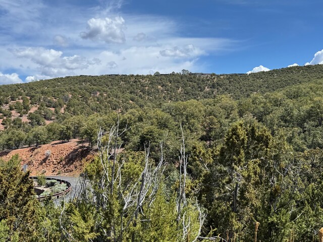 2615 Summit Ct, Santa Fe, NM 87501 - photo 41