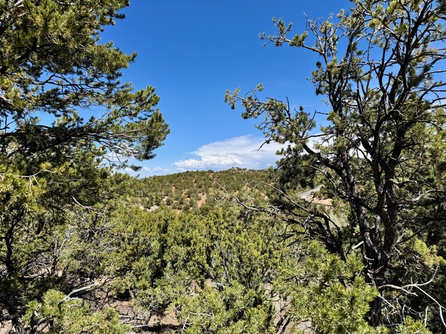 2615 Summit Ct, Santa Fe, NM 87501 - photo 38