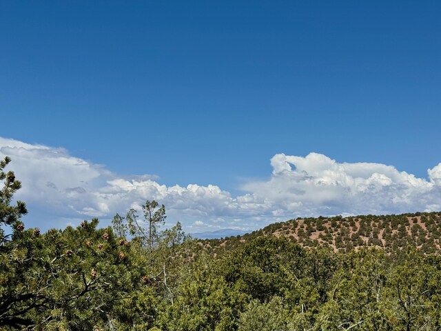 2615 Summit Ct, Santa Fe, NM 87501 - photo 32