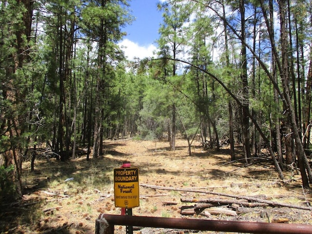 160 Black Bear Rd, Ramah, NM 87321 - view of wooded area