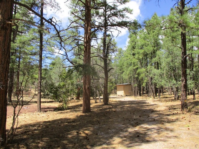 160 Black Bear Rd, Ramah, NM 87321 - view of yard