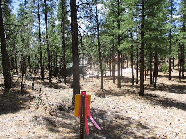 160 Black Bear Rd, Ramah, NM 87321 - view of nature