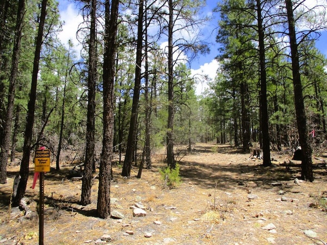 160 Black Bear Rd, Ramah, NM 87321 - view of undeveloped land