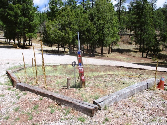 160 Black Bear Rd, Ramah, NM 87321 - view of yard