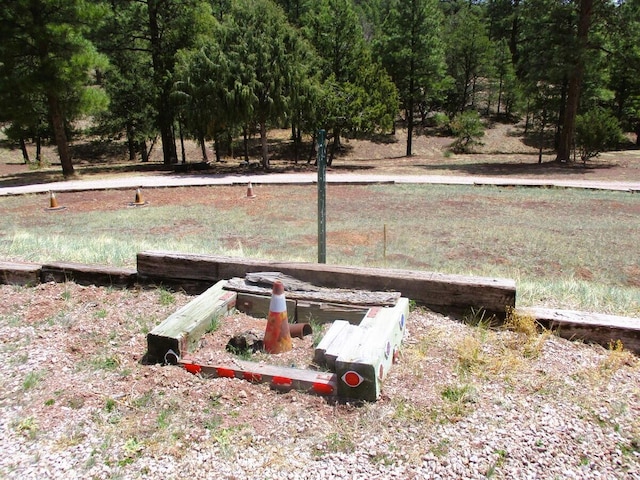 160 Black Bear Rd, Ramah, NM 87321 - view of yard