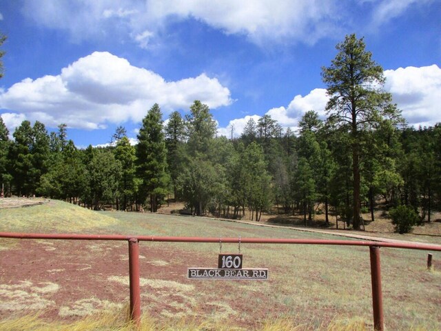 160 Black Bear Rd, Ramah, NM 87321 - view of yard with a rural view