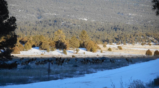 160 Black Bear Rd, Ramah, NM 87321 - snowy aerial view featuring a wooded view
