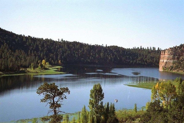 160 Black Bear Rd, Ramah, NM 87321 - water view featuring a forest