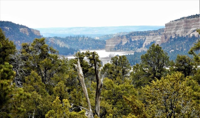 160 Black Bear Rd, Ramah, NM 87321 - view of mountain backdrop with a heavily wooded area