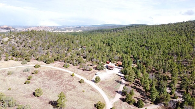 160 Black Bear Rd, Ramah, NM 87321 - aerial view of a forest