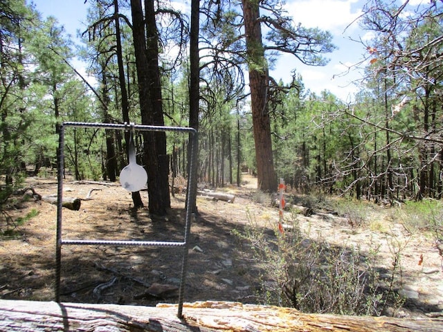 160 Black Bear Rd, Ramah, NM 87321 - view of yard featuring a view of trees