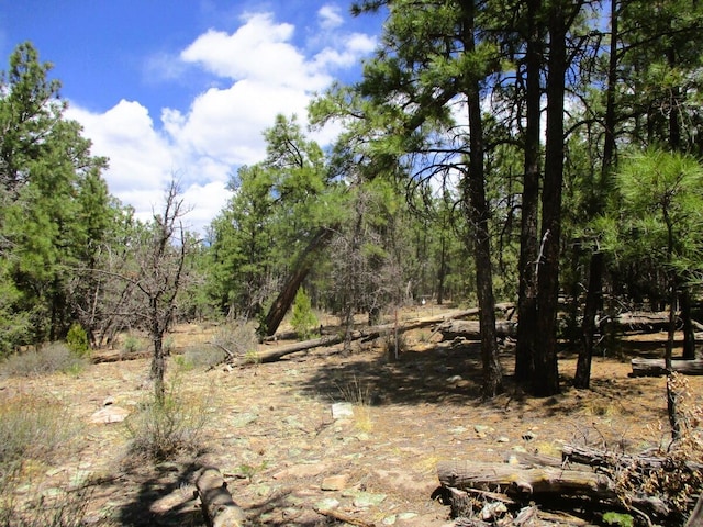 160 Black Bear Rd, Ramah, NM 87321 - view of undeveloped land