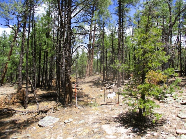 160 Black Bear Rd, Ramah, NM 87321 - view of nature