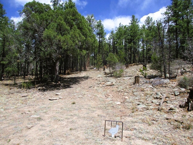 160 Black Bear Rd, Ramah, NM 87321 - view of local wilderness