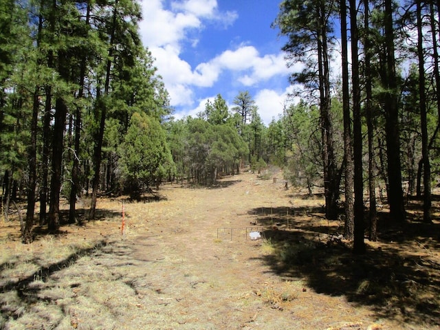 160 Black Bear Rd, Ramah, NM 87321 - view of nature