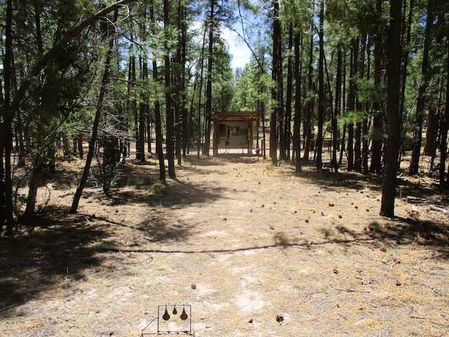 160 Black Bear Rd, Ramah, NM 87321 - view of undeveloped land