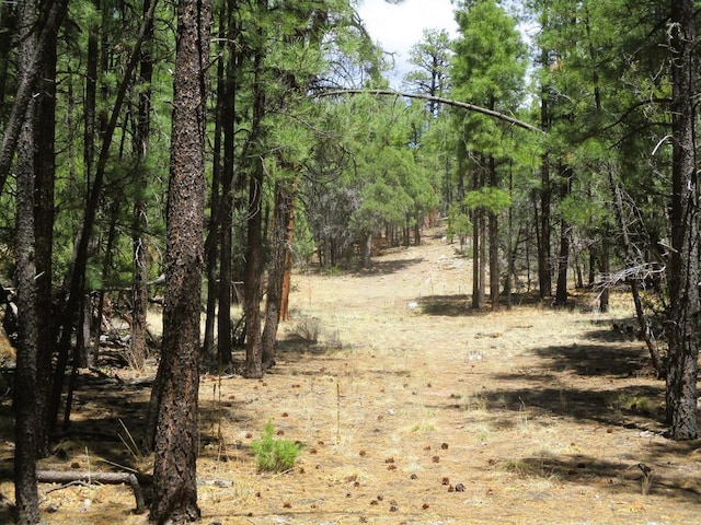 160 Black Bear Rd, Ramah, NM 87321 - view of undeveloped land