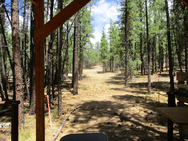 160 Black Bear Rd, Ramah, NM 87321 - view of road