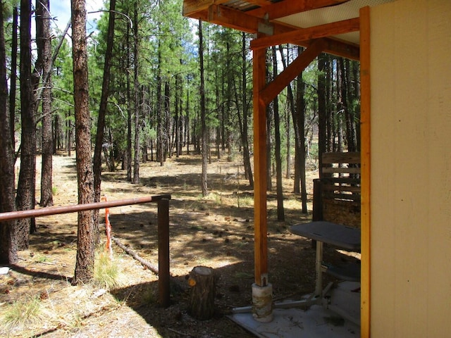 160 Black Bear Rd, Ramah, NM 87321 - view of yard
