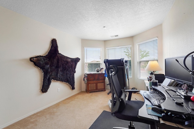 3772 Havasu Falls St NE, Rio Rancho, NM 87144 - exercise room featuring light colored carpet, a textured ceiling, and baseboards