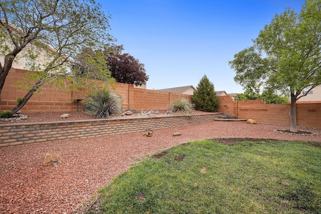 3772 Havasu Falls St NE, Rio Rancho, NM 87144 - view of yard