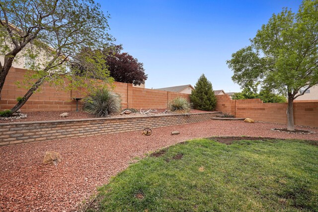 3772 Havasu Falls St NE, Rio Rancho, NM 87144 - view of yard