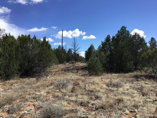 LOT28 Monte Vista Ln, Ramah, NM 87321
