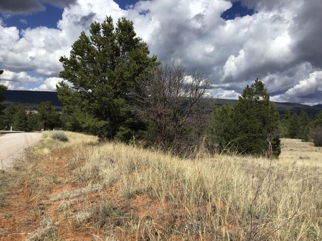 LOT28 Monte Vista Ln, Ramah, NM 87321
