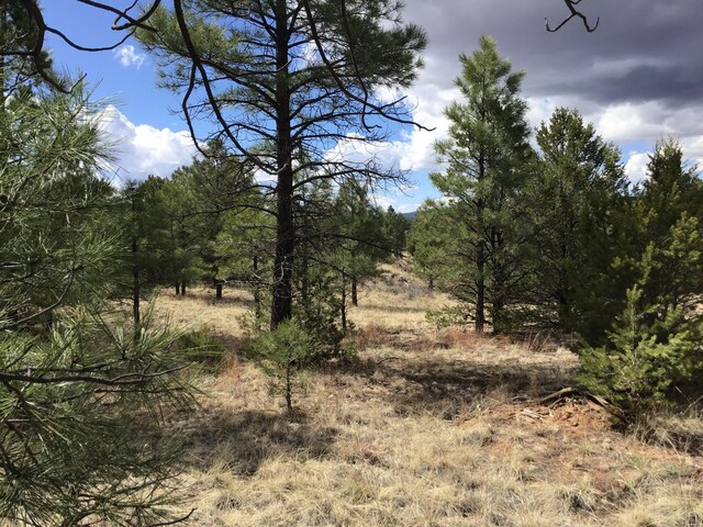 LOT28 Monte Vista Ln, Ramah, NM 87321