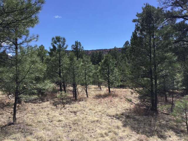 LOT28 Monte Vista Ln, Ramah, NM 87321