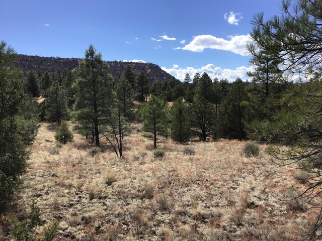 LOT28 Monte Vista Ln, Ramah, NM 87321