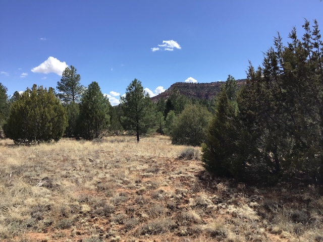LOT28 Monte Vista Ln, Ramah, NM 87321
