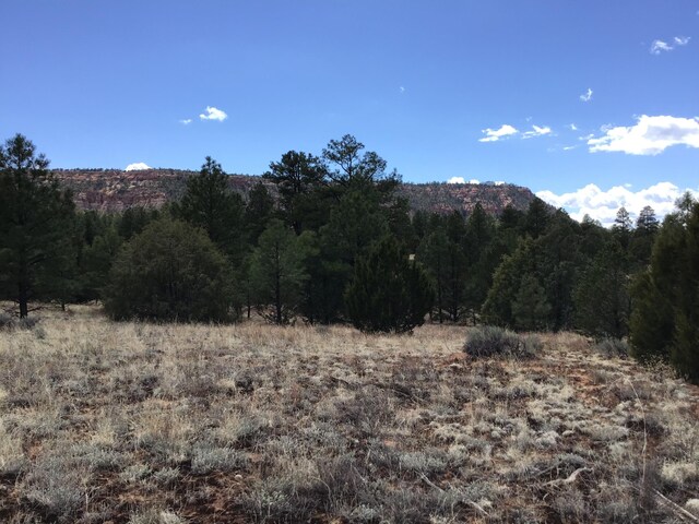 LOT28 Monte Vista Ln, Ramah, NM 87321