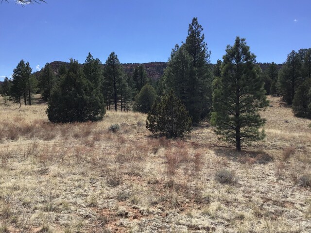 LOT28 Monte Vista Ln, Ramah, NM 87321