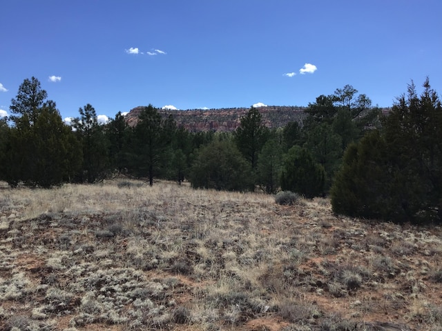 LOT28 Monte Vista Ln, Ramah, NM 87321