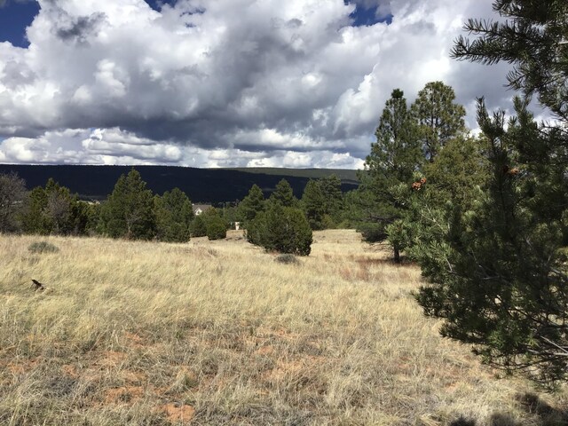 LOT28 Monte Vista Ln, Ramah, NM 87321
