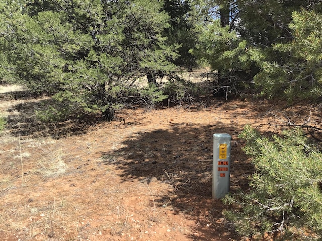 LOT28 Monte Vista Ln, Ramah, NM 87321