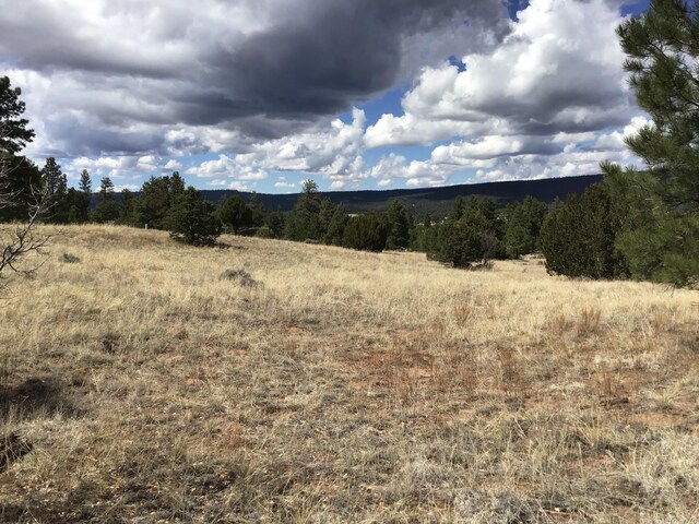 LOT28 Monte Vista Ln, Ramah, NM 87321