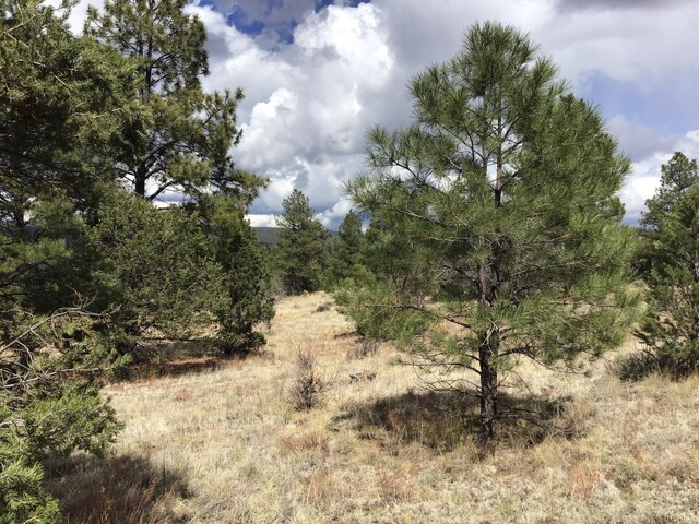 LOT28 Monte Vista Ln, Ramah, NM 87321
