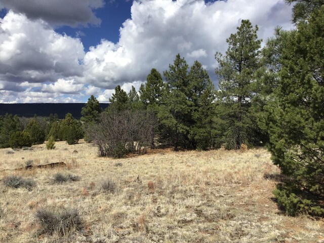 LOT28 Monte Vista Ln, Ramah, NM 87321