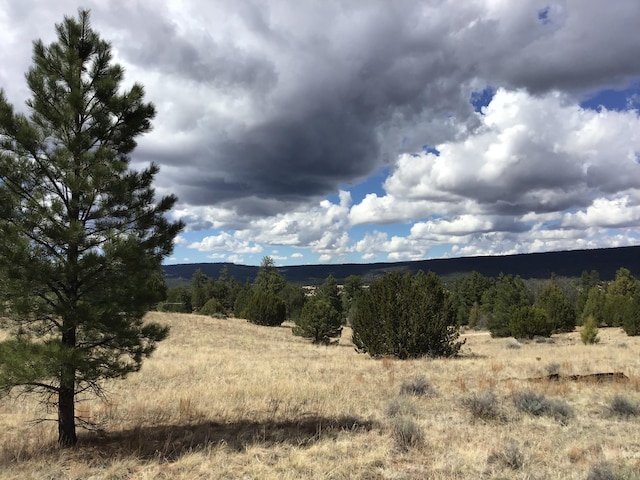 LOT28 Monte Vista Ln, Ramah, NM 87321