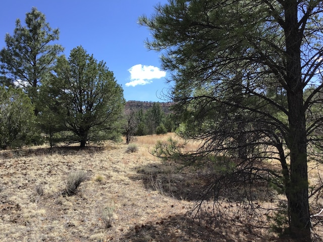 LOT28 Monte Vista Ln, Ramah, NM 87321