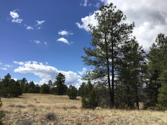 LOT28 Monte Vista Ln, Ramah, NM 87321