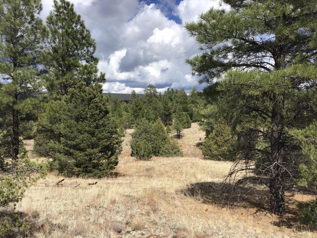 LOT28 Monte Vista Ln, Ramah, NM 87321