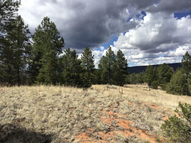 LOT28 Monte Vista Ln, Ramah, NM 87321